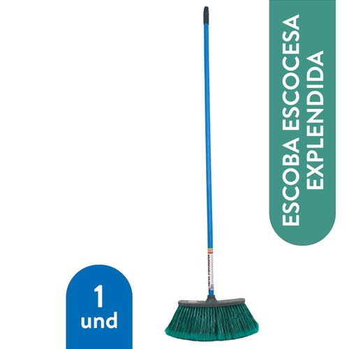 Escoba Escocesa Explendida - 1 Unidad