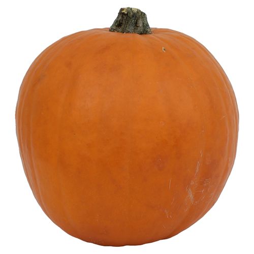 Calabaza Hortifruti Importada Libra