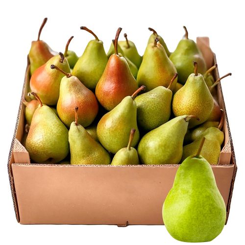 Pera Verde en Caja - 40 lb