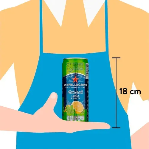 San Pellegrino Agua Car Limon Ment330ml