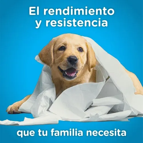 Papel Higiénico Scott 1000 Hojas Hoja Sencilla - 6 Rollos